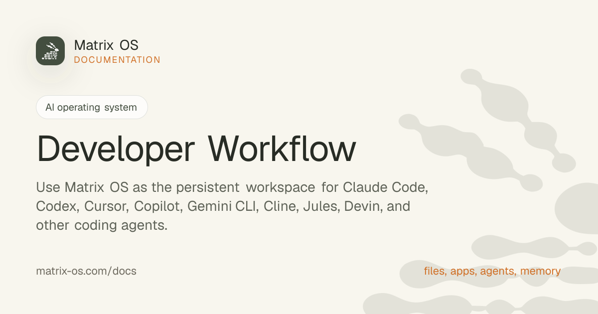 Developer Workflow